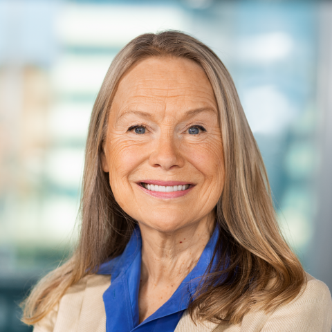 Karin Veres Liberalerna Göteborg Regionvalet Kultur Teater