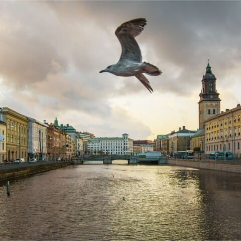 Liberalerna Göteborg