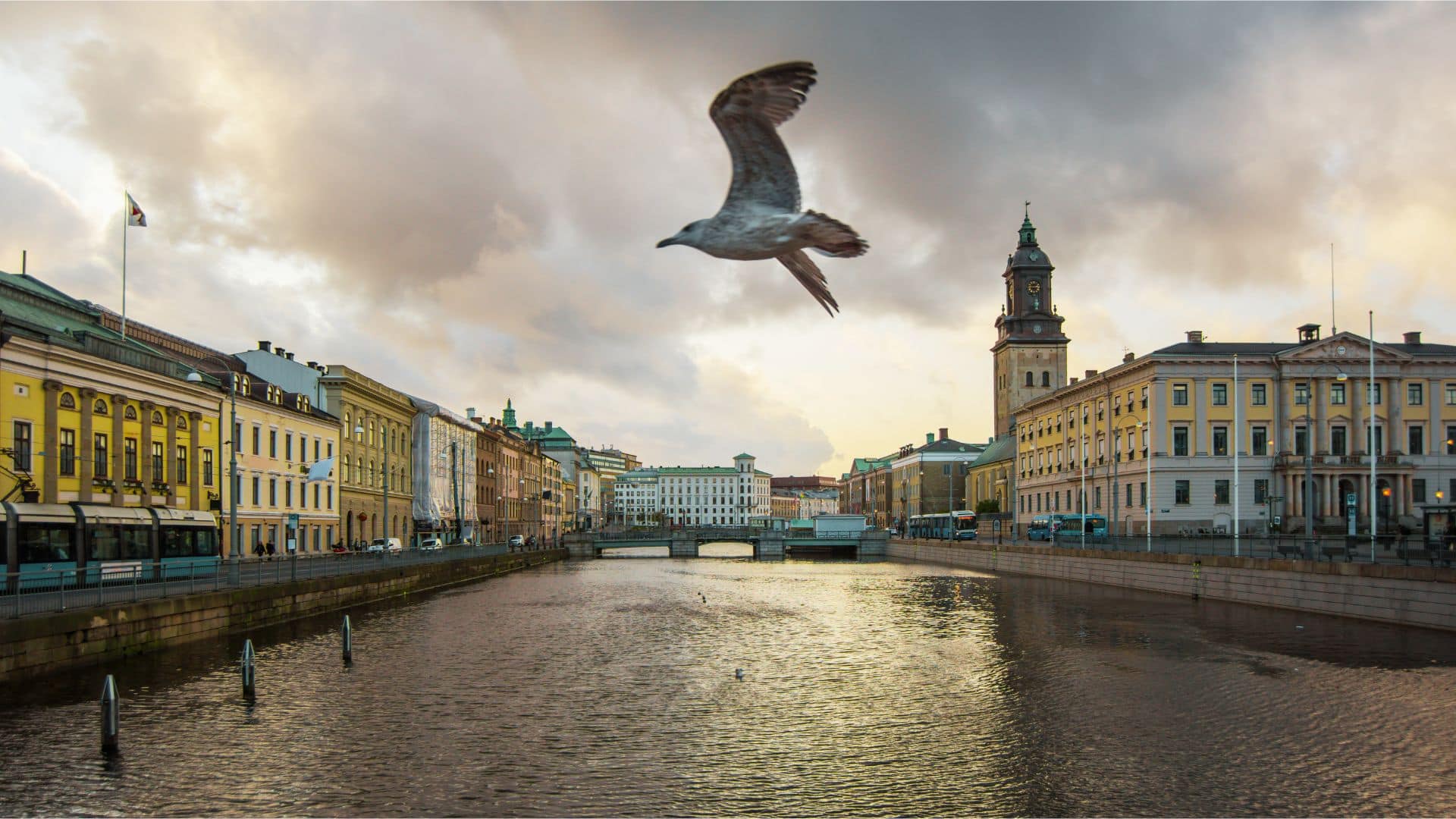 Liberalerna Göteborg